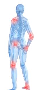 关节游走性疼痛 关节游走性疼痛