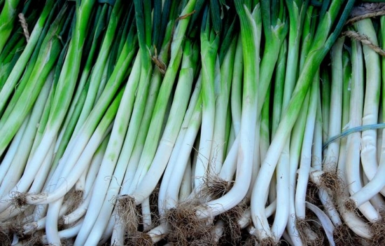 大蒜大葱 大蒜大葱