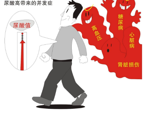 尿酸高带来的并发症 尿酸高带来的并发症.png