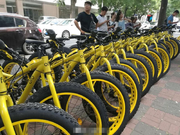 郑州现肌肉小黄车。