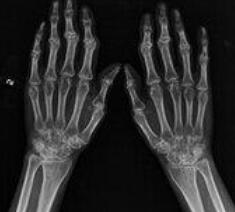 ���ʪ������������ج�� �Ű���������������