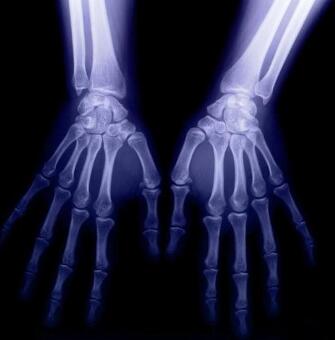 ��ѧ���������ʪ������������