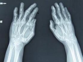 ������ʪ������������