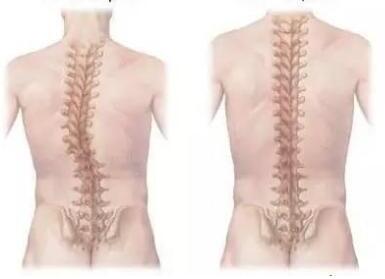 ��ĸ������� СС��ͱ�����ĥ