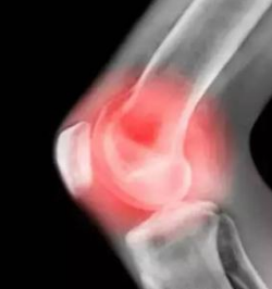 ��ɽ����ǿֱ�Լ�����