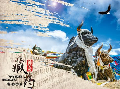 痛风吃什么药,藏药能治痛风吗 痛风吃什么药,藏药能治痛风吗