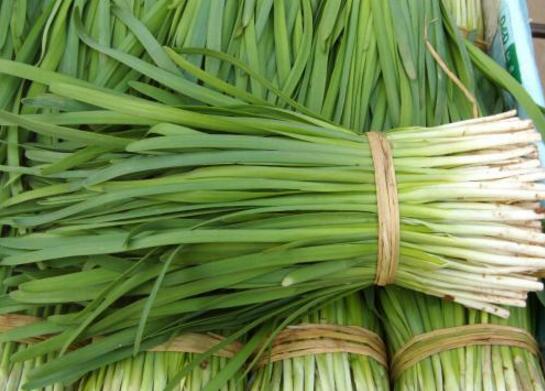 痛风能吃韭菜吗? 痛风能吃韭菜吗?