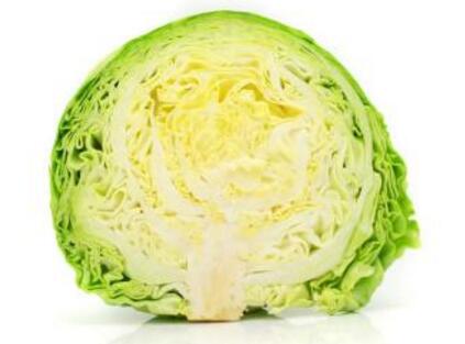 卷心菜 卷心菜