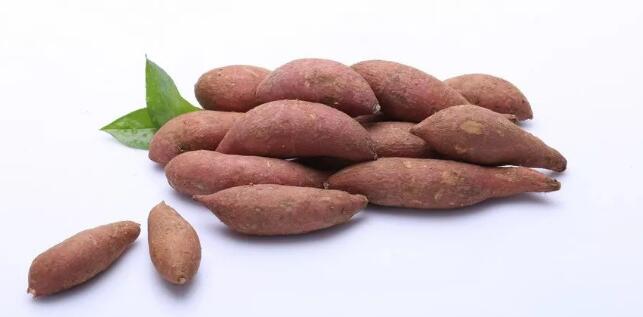 山珍海味,不如一块烤红薯 山珍海味,不如一块烤红薯