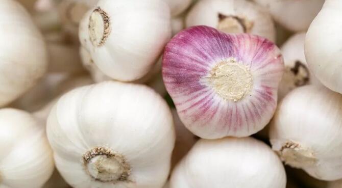 就瓣腊八蒜辣辣心 就瓣腊八蒜辣辣心