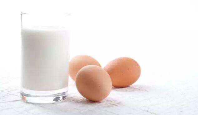 鸡蛋、牛奶 鸡蛋、牛奶