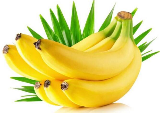 痛风吃香蕉好 痛风吃香蕉好