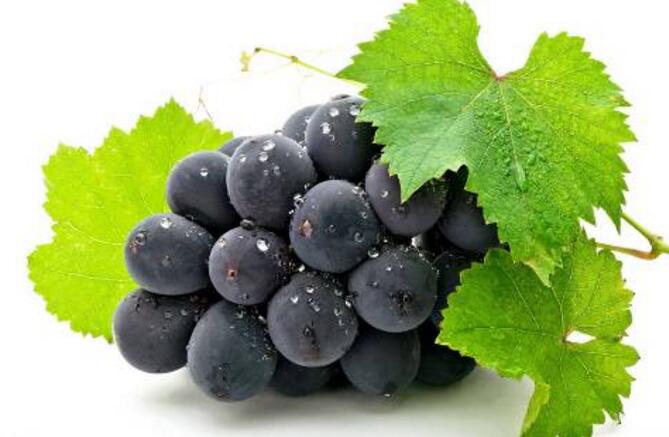 痛风吃葡萄好 痛风吃葡萄好