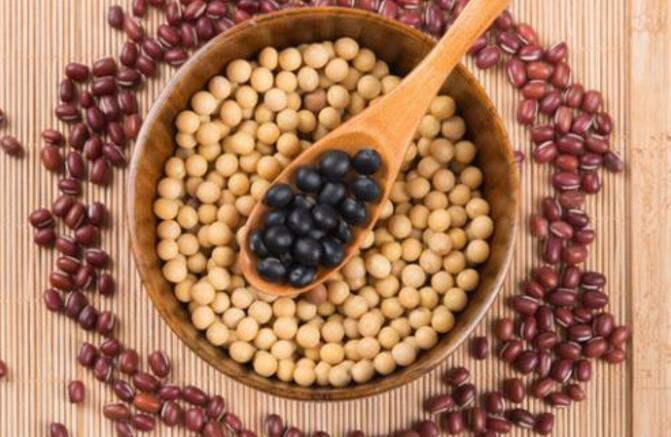 果实食品 果实食品