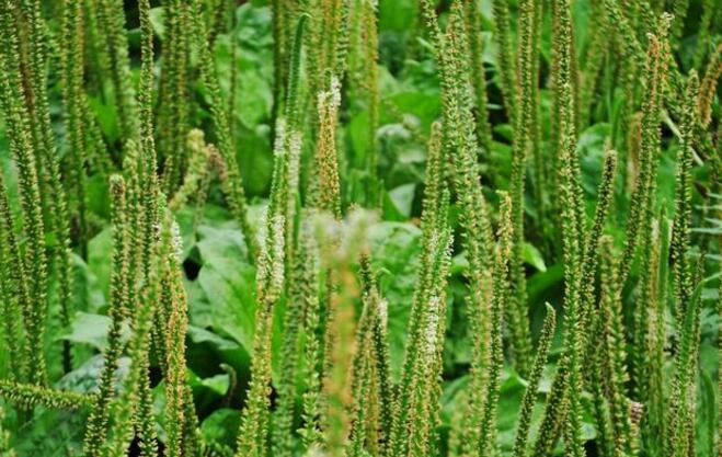 郑州痛风专业医院专家提醒:做到这6点,痛风不再找你麻烦! 郑州痛风专业医院专家提醒:做到这6点,痛风不再找你麻烦!