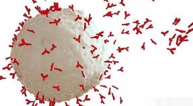 类风湿为什么被称为死不了的癌症? 类风湿为什么被称为死不了的癌症?