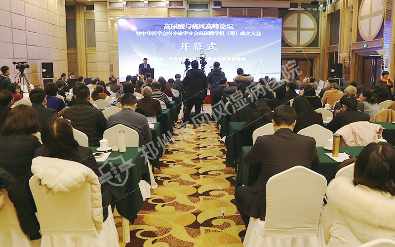 图:亚太痛风联盟主席李长贵教授《中国高尿酸血症与痛风诊疗指南(2019)解读》专题报告 图:亚太痛风联盟主席李长贵教授《中国高尿酸血症与痛风诊疗指南(2019)解读》专题报告